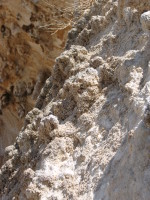 SNV80462.JPG